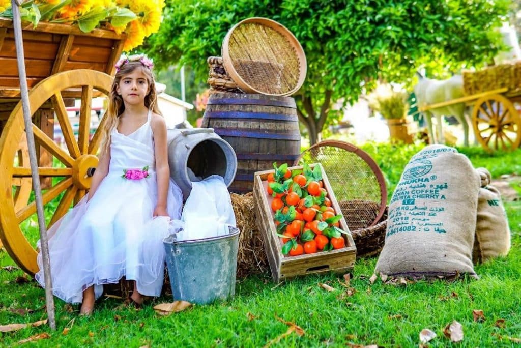 עיצוב לשבועות